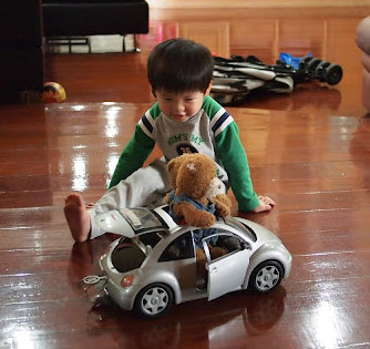 beetle